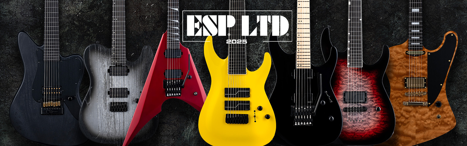 ESP LTD 2025