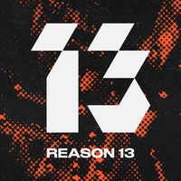 Reason 13