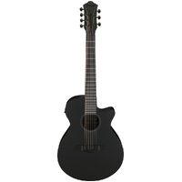 Ibanez AEG721 BOT Black Out