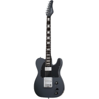 Schecter PT EX Dorian Gray