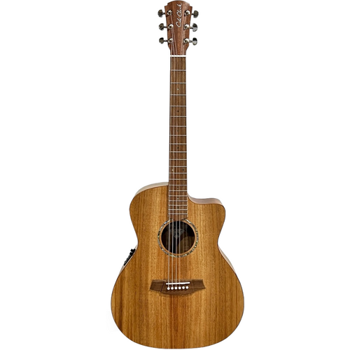 Cole Clark CCSAN1EC-BLBL Australian Blackwood