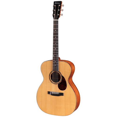 takamine 100